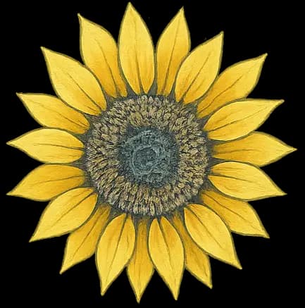 yellow flower background